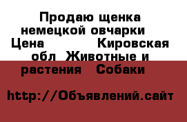 Продаю щенка немецкой овчарки  › Цена ­ 3 000 - Кировская обл. Животные и растения » Собаки   
